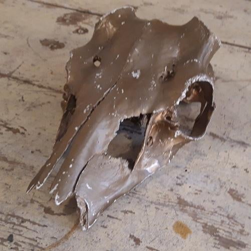 Schedel dier origineel goud kleur 24 cm hoog 13 cm breed, Verzamelen, Dierenverzamelingen, Gebruikt, Schedel, Ophalen of Verzenden