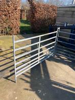 Schapen hekjes te koop, Dieren en Toebehoren, Schapen, Geiten en Varkens, Geslacht onbekend, Schaap