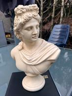 Buste Griekse en Romeinse god Apollo, Ophalen