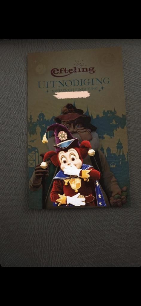 Efteling ticket, Tickets en Kaartjes, Eén persoon, Ticket of Toegangskaart