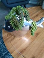 Tulpen vaas in de vorm van vis ,met nep groen, Ophalen, Minder dan 10 m², Groen