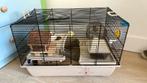 Compleet hamsterhok hamsterkooi, Dieren en Toebehoren, Knaagdieren en Konijnen | Hokken en Kooien, Minder dan 60 cm, Kooi, Gebruikt