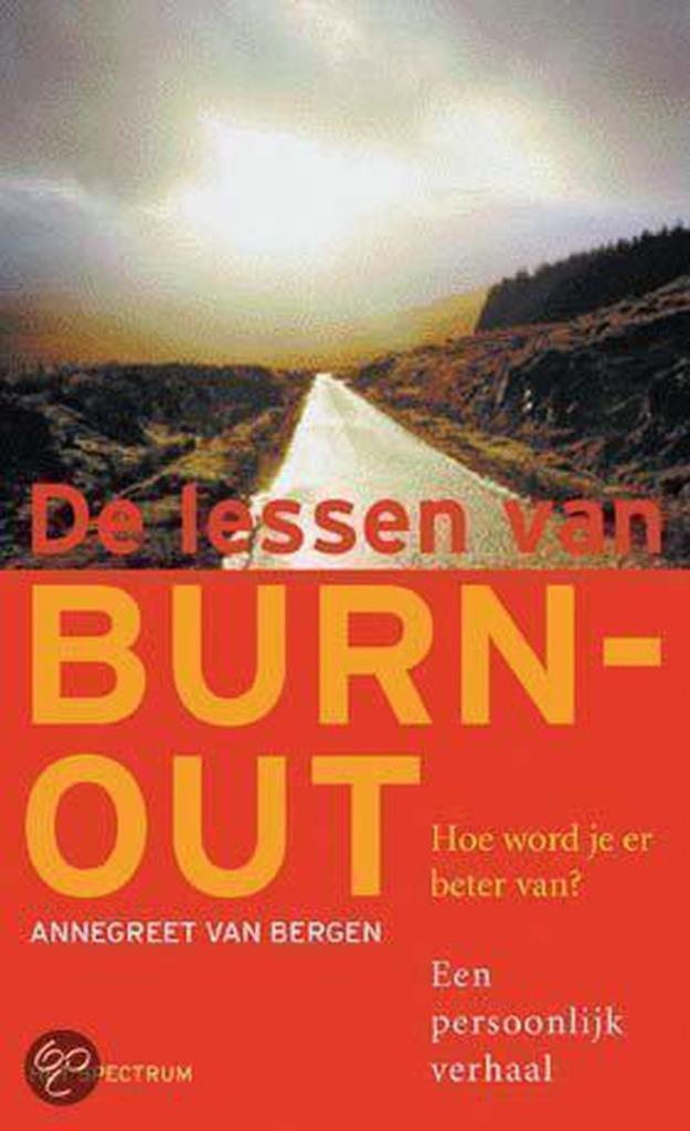 de lessen van burnout, Boeken, Esoterie en Spiritualiteit, Zo goed als nieuw, Overige typen, Spiritualiteit algemeen, Ophalen of Verzenden