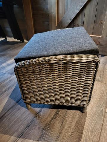 Intratuin Voetenbank - ZGAN beschikbaar voor biedingen