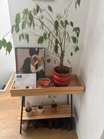 Plant shelf, Ophalen, Zo goed als nieuw