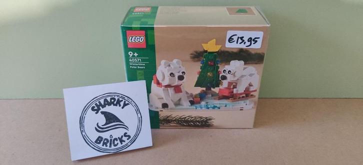 Lego 40571 Ijsberen in de Winter (Nieuw), Kinderen en Baby's, Speelgoed | Duplo en Lego, Nieuw, Lego, Complete set, Ophalen of Verzenden