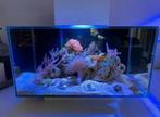 Fluval Edge 23L zeeaquarium, Dieren en Toebehoren, Vissen | Aquaria en Toebehoren, Ophalen of Verzenden, Leeg aquarium