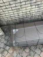 Cavia bak zwart, Ophalen of Verzenden