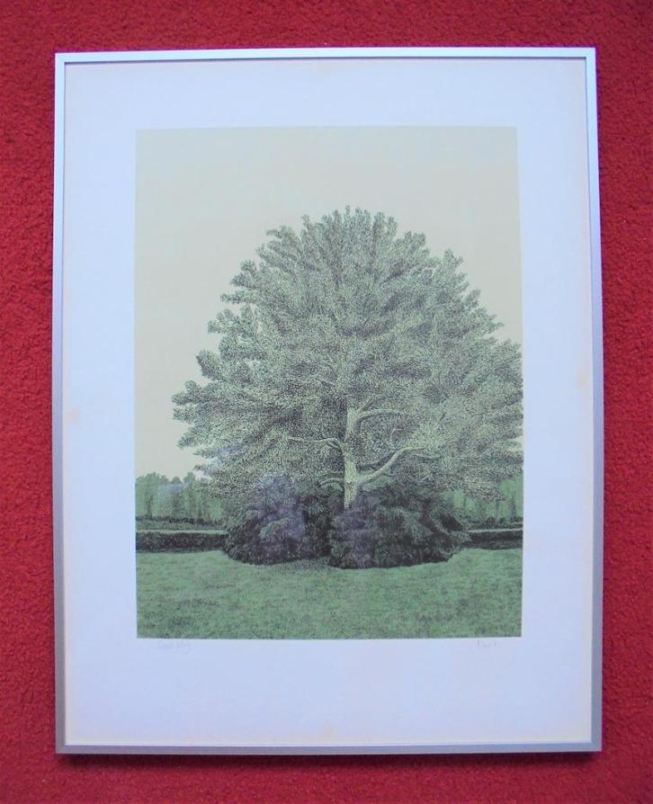 Sees Vlag. 1934-2018."Park"., Antiek en Kunst, Kunst | Litho's en Zeefdrukken, Ophalen