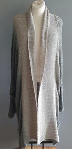 Aaiko vest, Kleding | Dames, Ophalen of Verzenden, Zo goed als nieuw, Maat 38/40 (M), Grijs