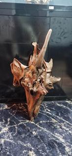 aquarium root, Dieren en Toebehoren, Vissen | Aquaria en Toebehoren, Ophalen