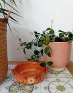 Aardewerk schaal met bloemmotief, Schaal, Rond, Ophalen of Verzenden, Zo goed als nieuw