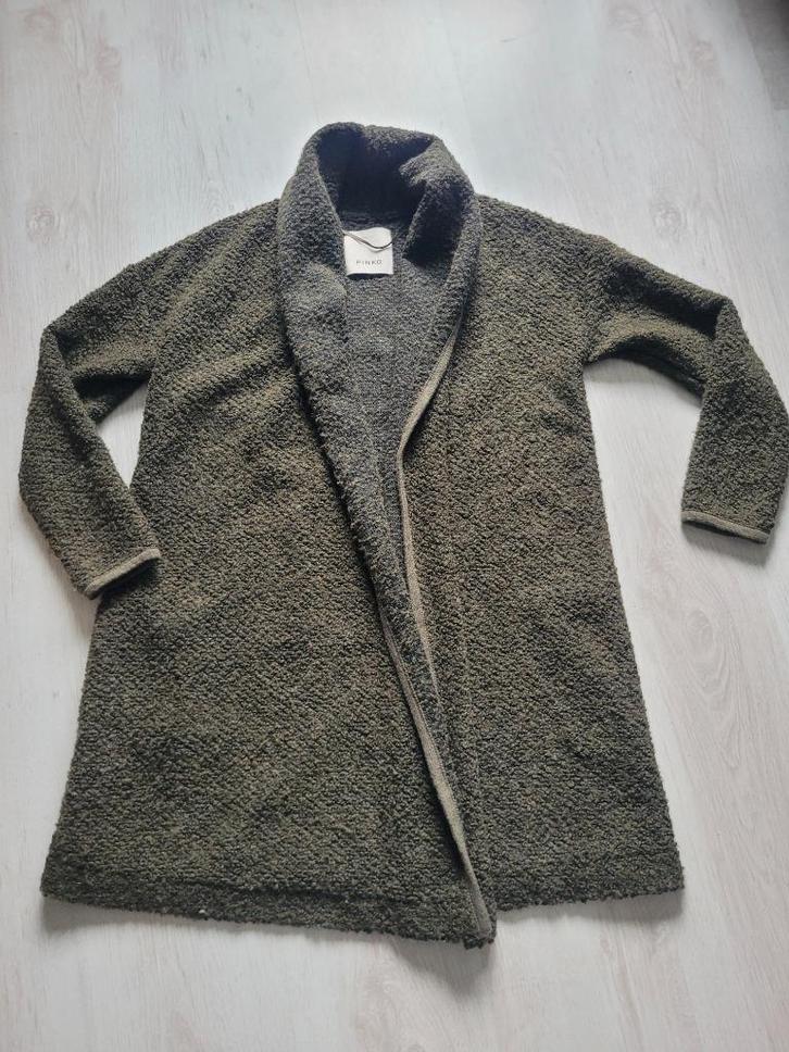 Geweldig mooi vest van Pinko, maat S, Kleding | Dames, Truien en Vesten, Zo goed als nieuw, Maat 36 (S), Groen, Ophalen of Verzenden