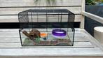 Hamsterkooi glas + accessoires, Dieren en Toebehoren, Knaagdieren en Konijnen | Hokken en Kooien, Kooi, Minder dan 75 cm, Zo goed als nieuw