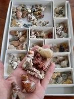 Veel speksteen katten en dinosaurussen mineralen, Ophalen of Verzenden, Mineraal