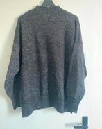 Glittertrui HEMA Maat XL, Kleding | Dames, Truien en Vesten, Verzenden, Zo goed als nieuw, Maat 46/48 (XL) of groter, Grijs