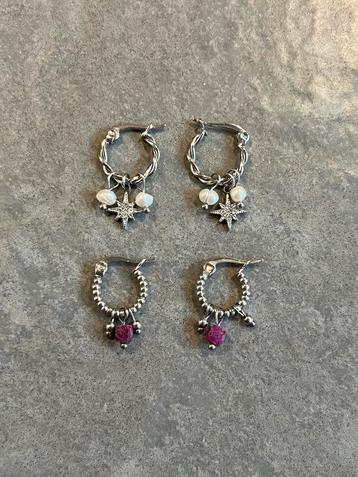My Jewellery- zilver stainless steel oorbellen ringetjes beschikbaar voor biedingen