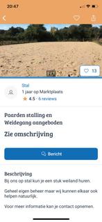 PAS OP!, Dieren en Toebehoren, Stalling en Weidegang, Weidegang, 4 paarden of pony's of meer