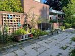 Schuttingdelen, Tuin en Terras, Schuttingen, Ophalen, 6 meter of meer, Hout, 1 tot 2 meter