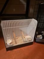 Mooie kunstof tt kooi, Dieren en Toebehoren, Vogels | Hokken en Kooien, Ophalen, Zo goed als nieuw, Kunststof