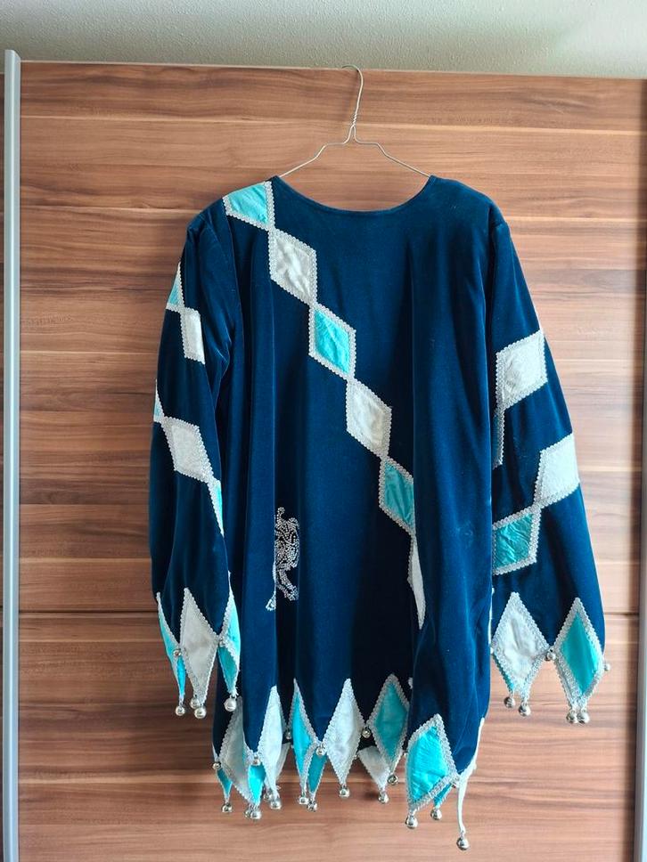 Hofnar kostuum carnaval, Kleding | Heren, Carnavalskleding en Feestkleding, Zo goed als nieuw, Kleding, Carnaval, Overige maten