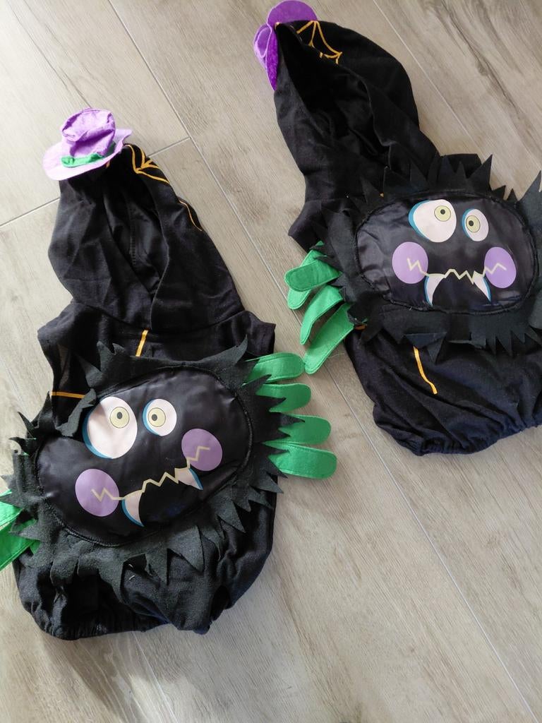 Carnavalskleding - Leuke Kostuums!, Kinderen en Baby's, Carnavalskleding en Verkleedspullen, Ophalen of Verzenden, Zo goed als nieuw