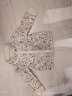 Leuk, origineel vestje maat 68, Kinderen en Baby's, Babykleding | Maat 68, Ophalen of Verzenden, Zo goed als nieuw, Jongetje, Truitje of Vestje