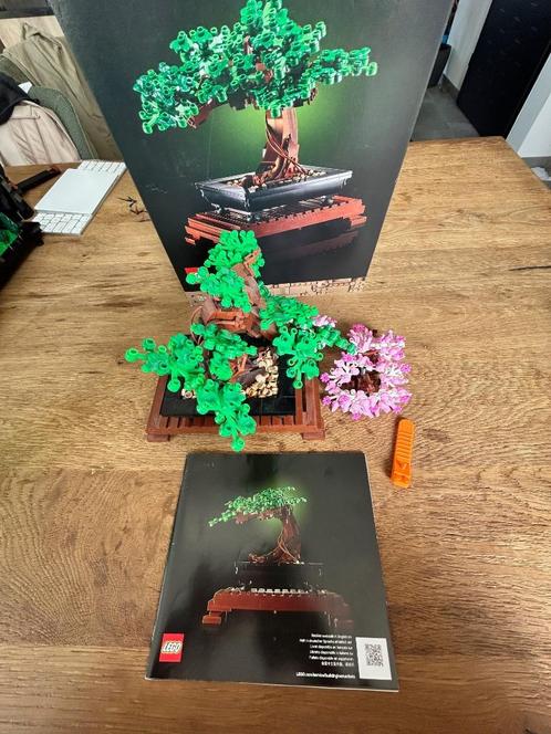 LEGO Bonsai Tree 10281 Botanical - Compleet met doos, Kinderen en Baby's, Speelgoed | Duplo en Lego, Zo goed als nieuw, Lego, Complete set
