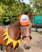 E Kinderpony te koop/te ruil, Dieren en Toebehoren, Pony's, B, 11 jaar of ouder, Recreatiepony, Merrie