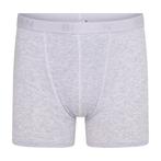 Beeren heren boxershort Dylan, grijs gebleekt , mt M T/M XXL, Beeren Bodywear, Ophalen of Verzenden, Grijs, Nvt