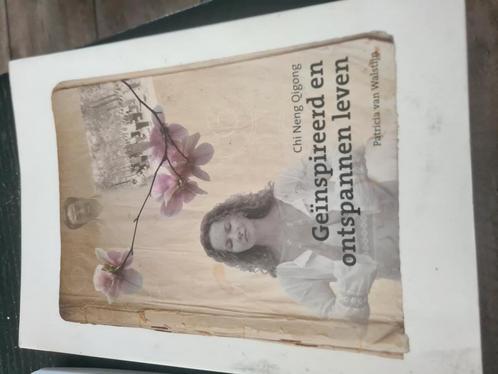 Chi Neng Qigong Geinspireerd en ontspannen leven, Boeken, Psychologie, Zo goed als nieuw, Ophalen of Verzenden