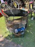 Hamsterkooi, Dieren en Toebehoren, Knaagdieren en Konijnen | Hokken en Kooien, Ophalen, Kooi, Gebruikt, 60 tot 90 cm