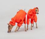 Regenjas voor Italiaanse Windhond nieuw!, Dieren en Toebehoren, Ophalen of Verzenden, Nieuw, Hondenregenjas