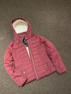 Hollister Winterjas Bordeaux Maat S, Kleding | Dames, Jassen | Winter, Ophalen of Verzenden, Gedragen, Maat 36 (S), Rood