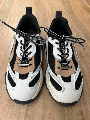 Steve madden sneaker beschikbaar voor biedingen