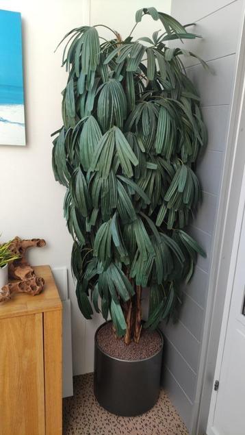 Kunstboom 2 meter hoog in verrijdbare pot. beschikbaar voor biedingen