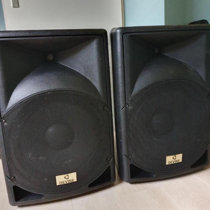 Devine boxen 2x Artis15, Muziek en Instrumenten, Overige Muziek en Instrumenten, Gebruikt, Ophalen of Verzenden