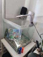 Aqarium, Dieren en Toebehoren, Vissen | Aquaria en Toebehoren, Ophalen of Verzenden, Zo goed als nieuw