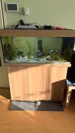 Juwel Rio 180 LED nieuw model, Dieren en Toebehoren, Vissen | Aquaria en Toebehoren, Ophalen of Verzenden, Zo goed als nieuw, Verlichting of Verwarming