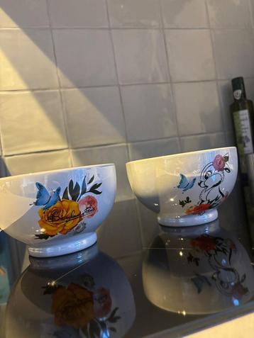 Schaatjes Disneyland Parijs beschikbaar voor biedingen