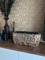 Schelpenvaas, Huis en Inrichting, Woonaccessoires | Vazen, Zevenhuizen, Lvkvazen, Nieuw, Ophalen of Verzenden