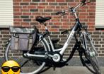 Gezocht elektrische fiets Giant Twist double  L (Large), Fietsen en Brommers, Elektrische fietsen, Zo goed als nieuw, 50 km per accu of meer