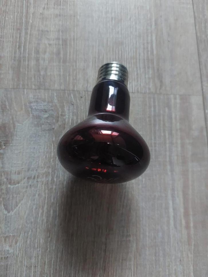 Warmtelamp 75 watt, 220-240V|Voor kuikens en ander gevogelte, Dieren en Toebehoren, Pluimvee | Toebehoren, Nieuw, Overige typen