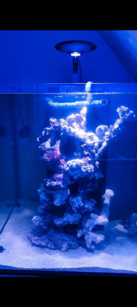 Heel mooi show Zeeaquarium, MOET NU WEG!, Dieren en Toebehoren, Vissen | Aquaria en Toebehoren, Zo goed als nieuw, Leeg aquarium