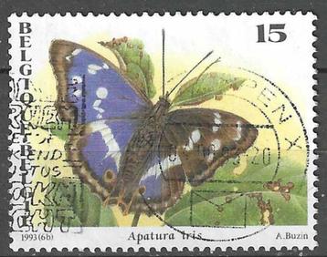 Belgie 1993 - Yvert/OBP 2504 - Natuur - Vlinders  (ST) beschikbaar voor biedingen