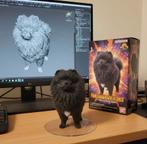 Mooie zwarte Pomeranians met fci uit geteste ouders, Keeshond, CDV (hondenziekte), 8 tot 15 weken, Meerdere