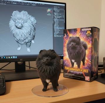 Mooie zwarte Pomeranians met fci uit geteste ouders beschikbaar voor biedingen
