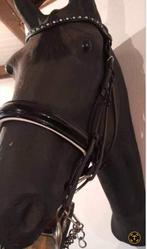 Sprenger,br,mac rider,hoofdstel,Veiligheidsbeugels, wrongen, Ophalen of Verzenden, Zo goed als nieuw, Dressuur