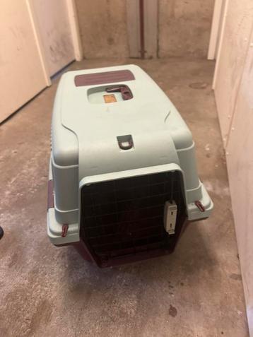 Honden | Grote katten transport mand beschikbaar voor biedingen