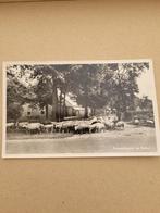 Exloo, Verzamelen, Ansichtkaarten | Nederland, Ophalen of Verzenden